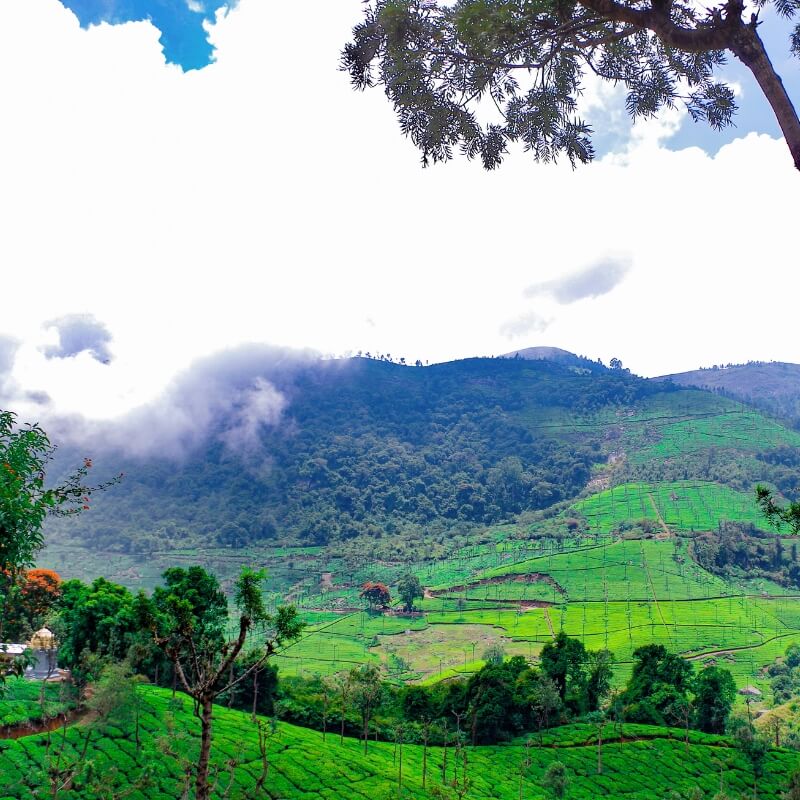 coonoor trip package