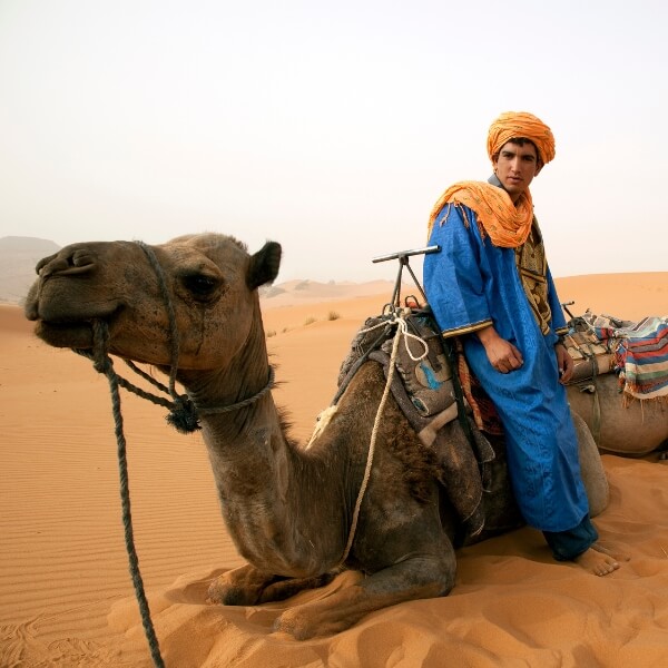 camel rides in sahara