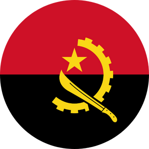 angola visa services