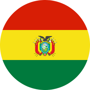 bolivia visa services