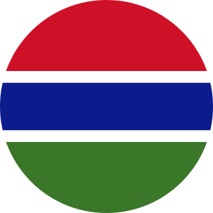 gambia visa services