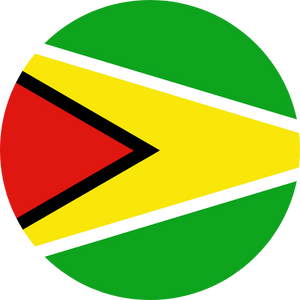 guyana visa services