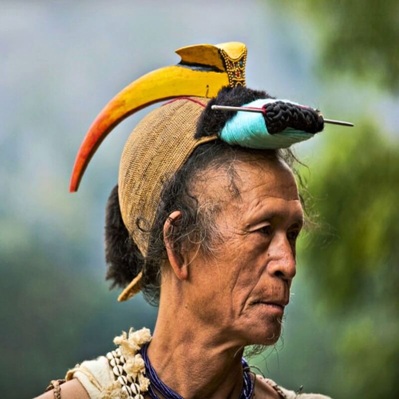 hornbill festival tours packages