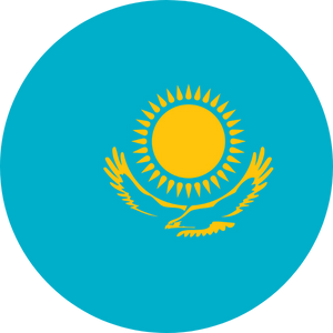 kazakhstan visa services