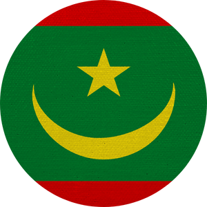 mauritania visa services