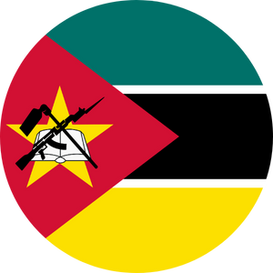 mozambique visa services