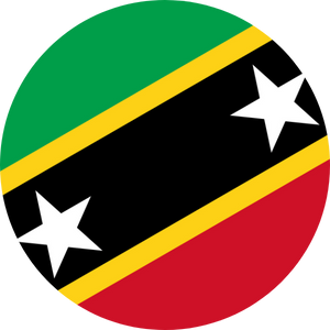 saint kitts and nevis visa services