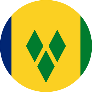 saint vincent and the grenadines visa services