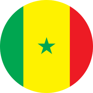 senegal visa services