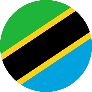 tanzania visa services