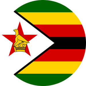 zimbabwe visa services